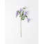 Wisteria Spray