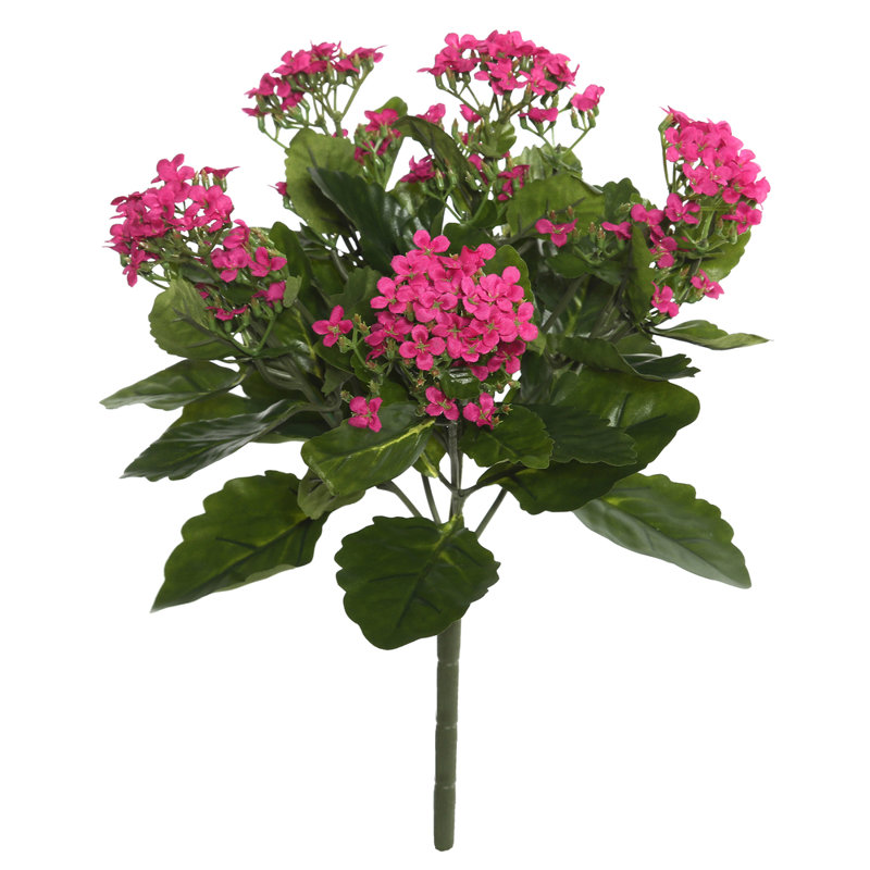 Kalanchoe Stem, Pink, 17.25" H x 8" W x 8" D