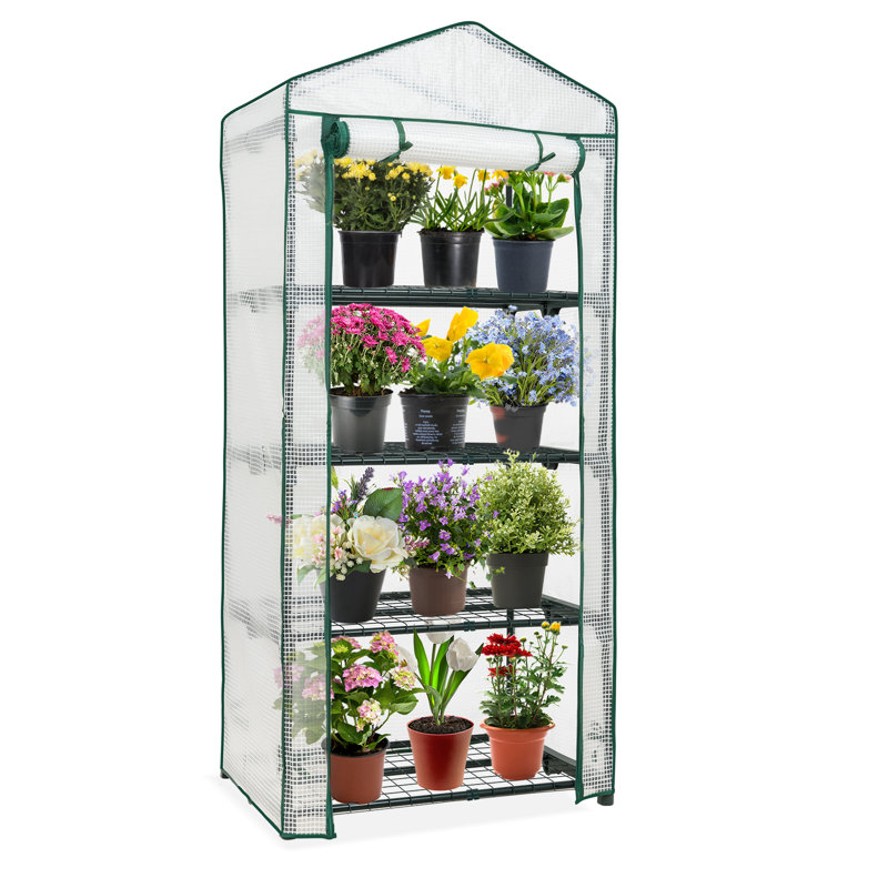 4 Tier Mini Greenhouse - Portable Small Greenhouse with Shelves