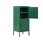 Mooresburg 2 -Door 4 -Shelf-881014499