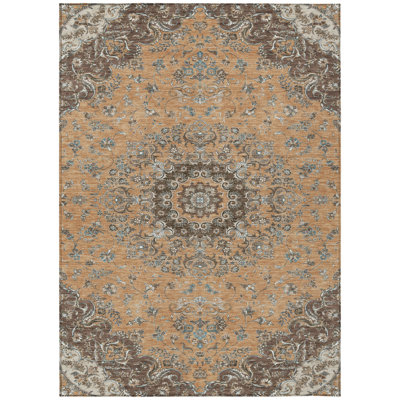Machine Washable Indoor/Outdoor Chantille ACN2495 Global Rug