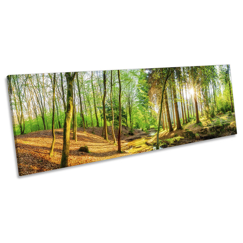 Forest Trees Landscape Sunset - Wrapped Canvas Panoramic Print, 40.64cm H x 121.92cm W x 2cm D