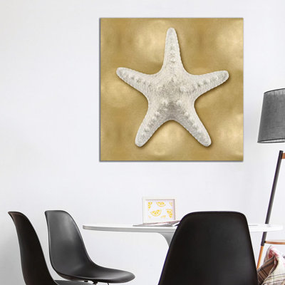 Shell On Gold VI by Caroline Kelly - Wrapped Canvas Painting