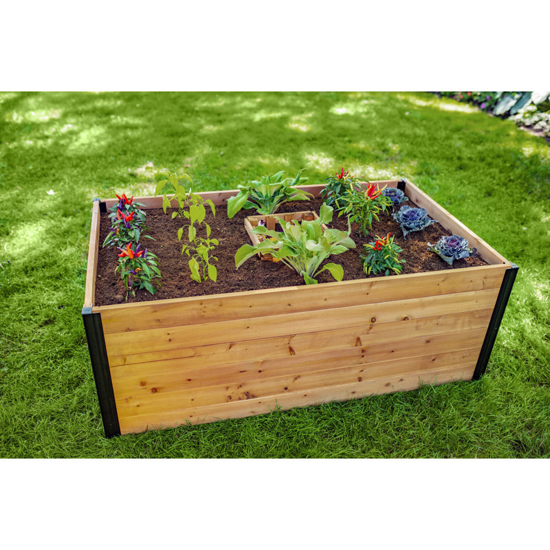 Lit de jardin surélevé en bois Mezza, H 60 po x l 36 po x P 22 po