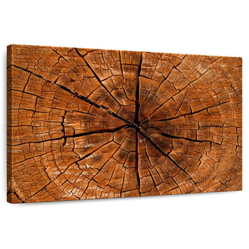 Harnek Magnified Tree Stump