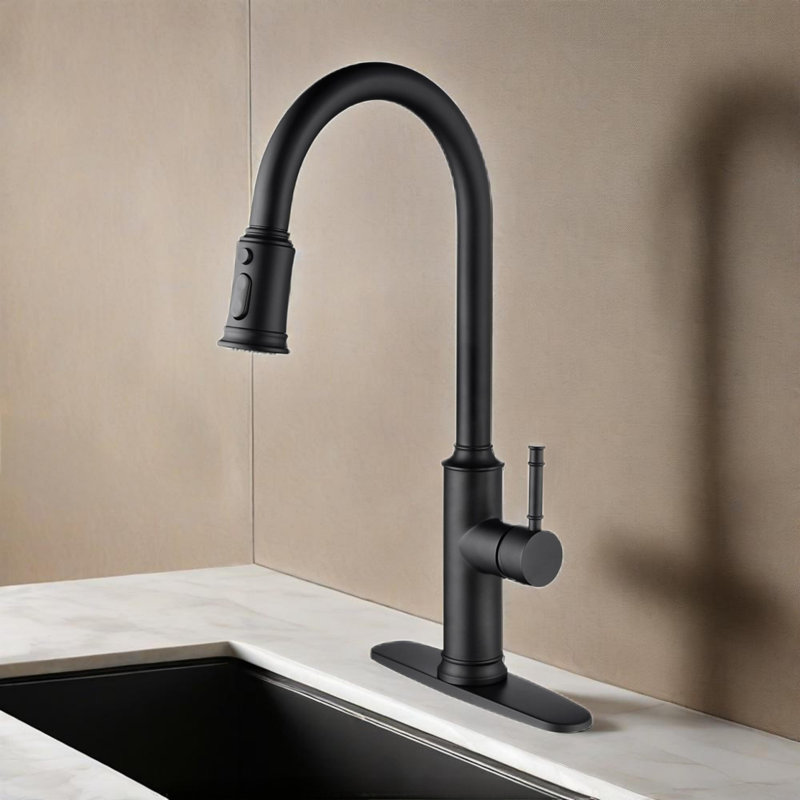 Kitchen Faucet With Pull Out Spraye