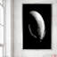 Dream Feathers - Photographie d'un seul cadre-89017821-89017826