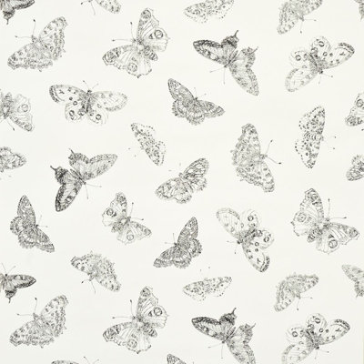 Papier peint Burnell Butterfly