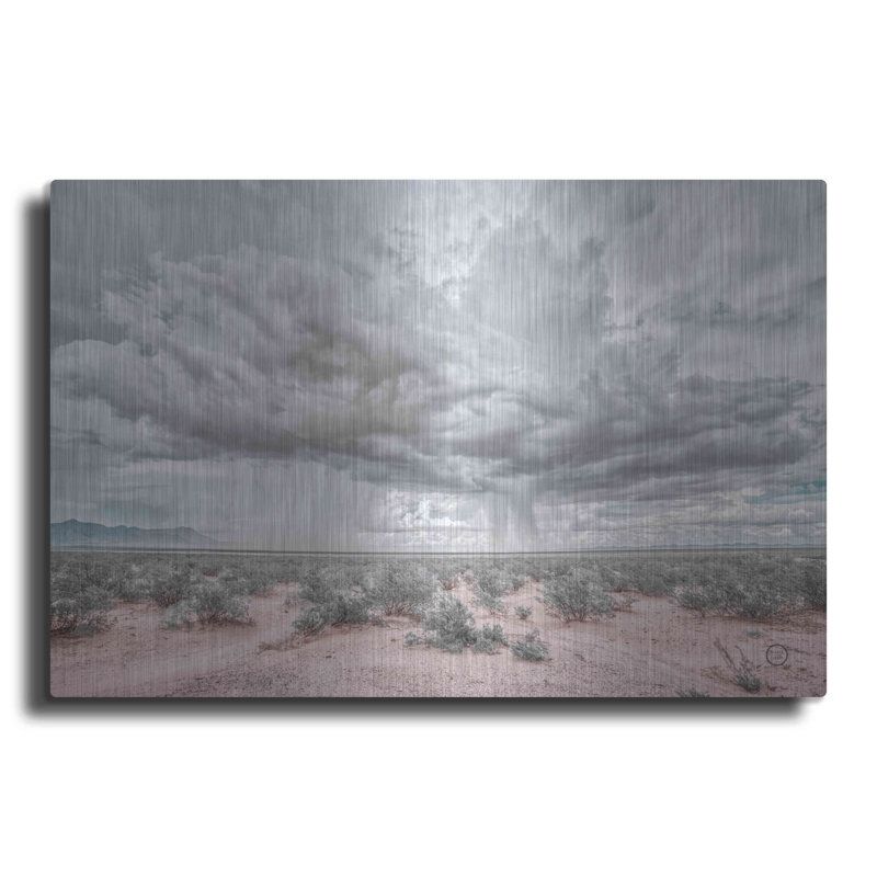 «New Mexico Rain» par Nathan Larson - impression sans cadre sur métal, H 24 po x l 36 po x P 0,13 po