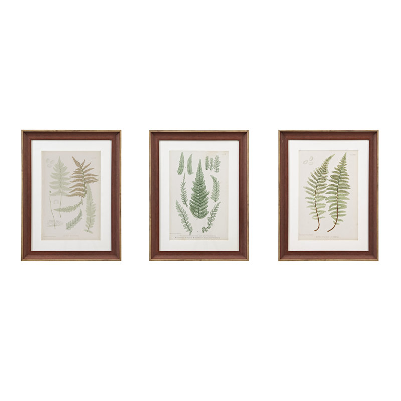 Ensemble d'art mural encadré 3 pièces Lady Fern Botanical Illustration