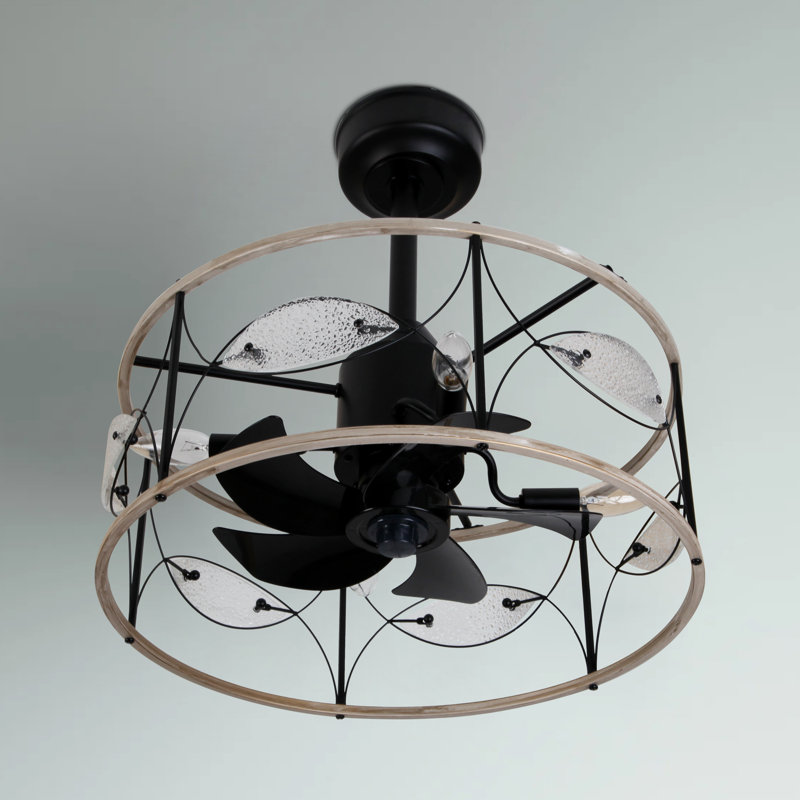 20 Inch Small Caged Ceiling Fan With Light And Remote Control,6 Speed Reversible Bladeless Fan Light Fixture For Farmhouse Kitchen Bedroom, Matte Black