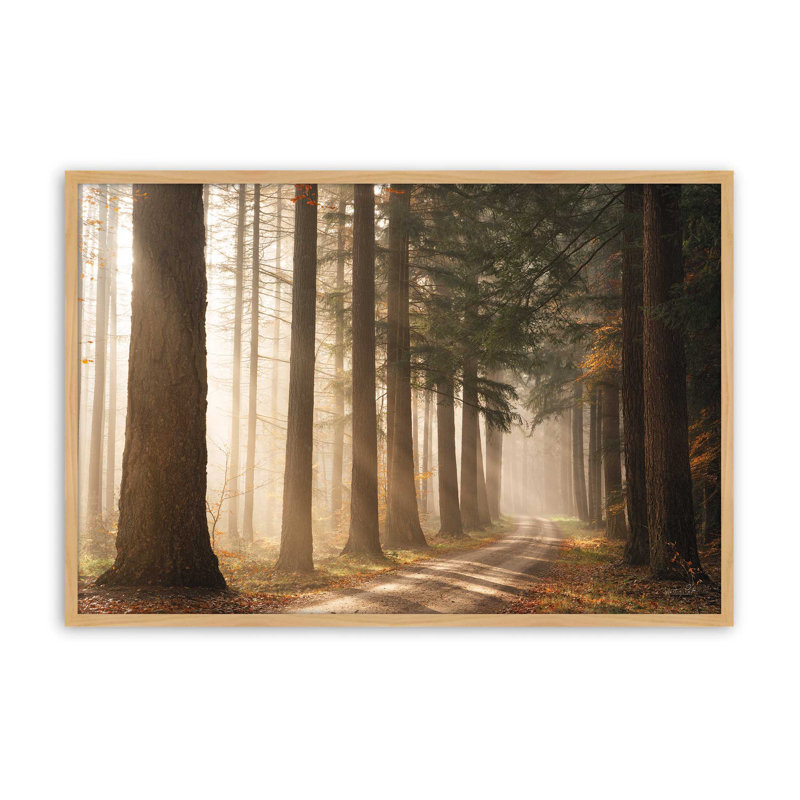 «Morning Sun Beam» par Martin Podt, reproduction d'art, 12 W x 8 H, Tan, Framed Print
