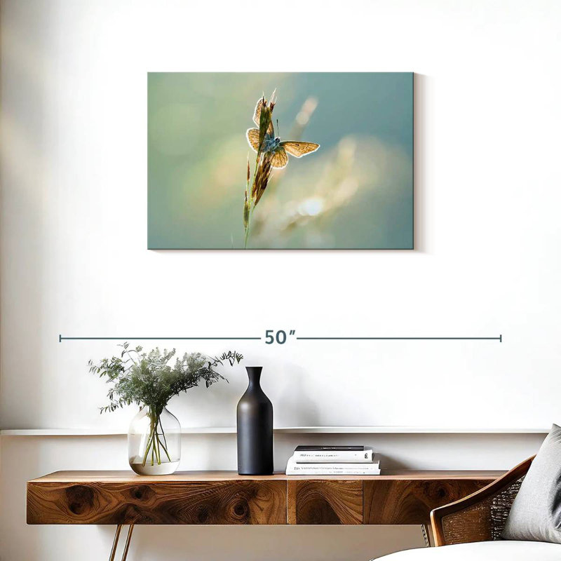 Brampt Icarus Butterfly, 20" H x 30" W