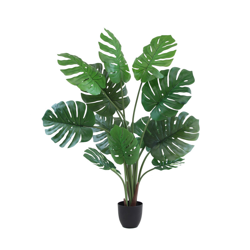 Arbre à fleurs 50 po Monstera
