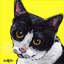 Cat Tuxedo 1 Piece Wrapped Canvas Painting-1430932535