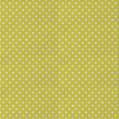 Polka Dots Indoor Rug