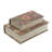 Decorative Book Boxes with Multi-Floral Motifs - Set of 2 - Multi