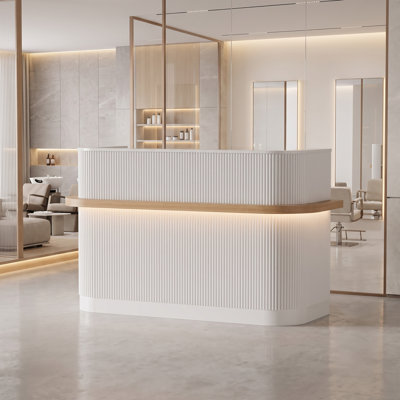 Modern Reception Desk with LED Lighting, Lockable Drawer, File Storage, Built-In Power Outlets for  Salon and Retail Reception Counter
