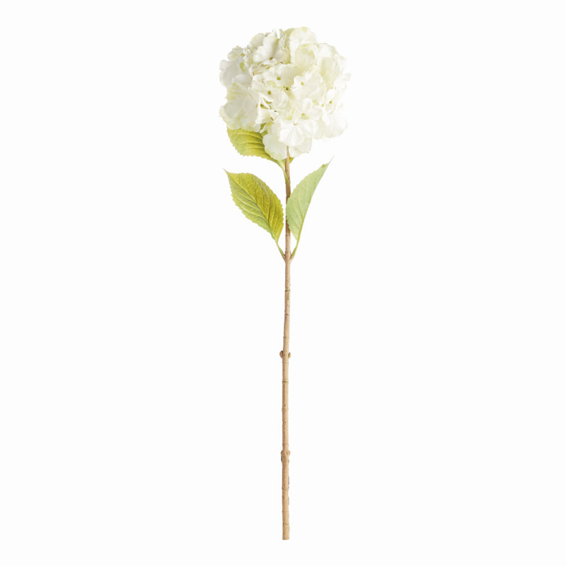 TIGES MOPHEAD HYDRANGEA 30,5 po, Blanc