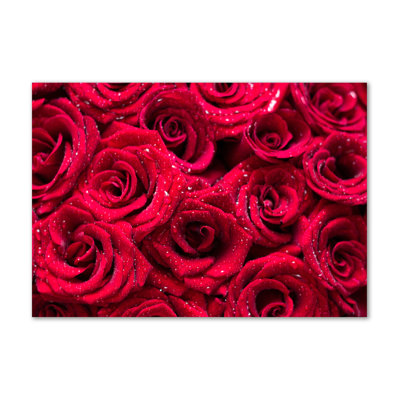 Drops On Roses - No Frame Print on Canvas