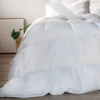 Extra Warm Down Alternative Duvet Insert