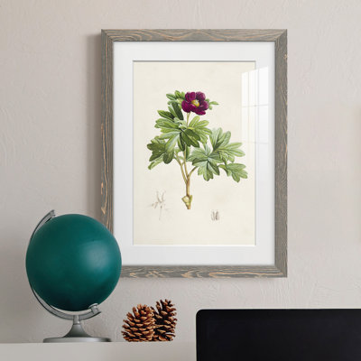 «Pretty Botanicals III», cadre photo