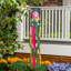 Ranunculus Romance Sublimated Windsock