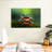 Brampt Happy Tree Frog-107694552