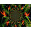 Bird Of Paradise Print by Leonard Askowitz