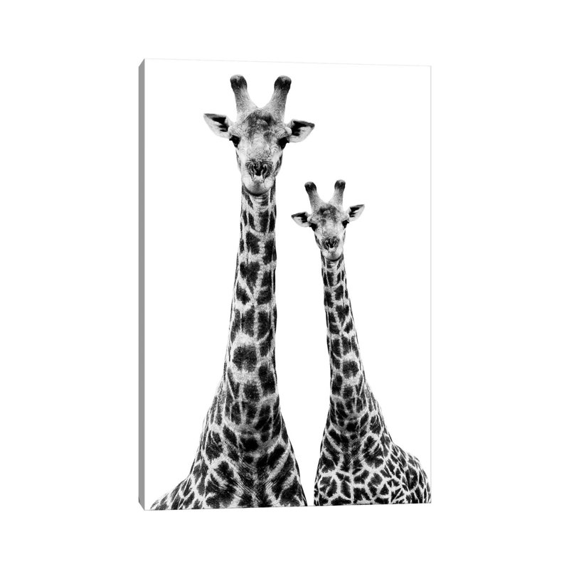 Two Giraffes White Edition II by Philippe Hugonnard - Gallery-Wrapped Canvas Giclée on Canvas, Wrapped Canvas