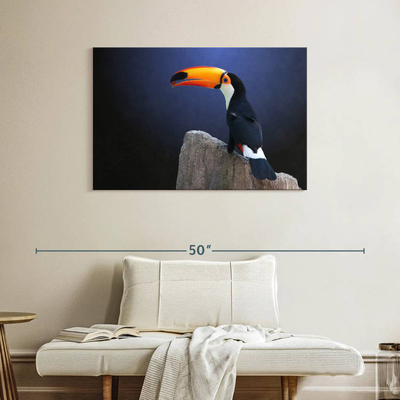 Toucan With Grape