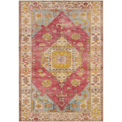 Hemmer Machine Washable Indoor Area Rug