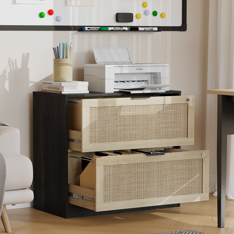 31.1"W Rattan File Cabinet With 2 Drawer & Lock, Black
