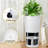 Tall Planter – 2-Pack Large Round Striped Plastic Floor Plant Pots, Thickened Durable Design, 24"H, Modern Decorative Planters for Indoor & Outdoor-504547664