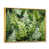 White Picture Framed