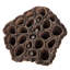 Vickerman Natural Botanicals 2.4"-3.2" Lotus Pod, Medium. Includes 75 pieces per Pack.