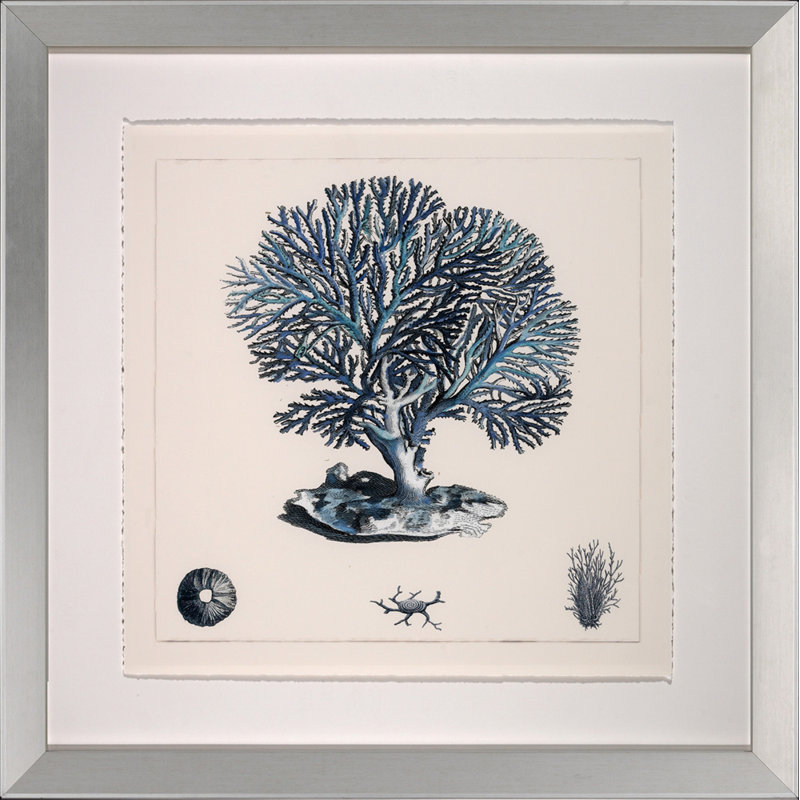 Blue Coral III Print
