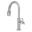 Chesterfield Pull Down Single Handle Kitchen Faucet-116431317