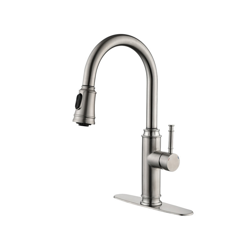 Topcraft Pull Down Single Handle Kitchen Faucet