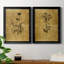 Croquis d'or Botanique I - Ensemble de 2 peintures sur toiles-1923579984-1923579985-1982830803