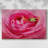 Hanging On VIII-Gallery Wrapped Canvas-1766245930