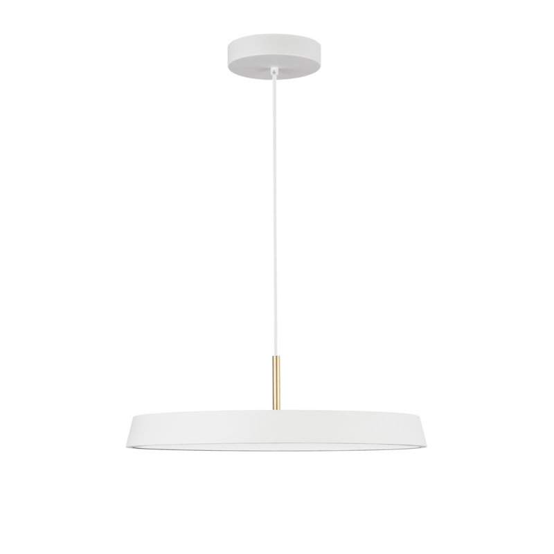 1 - Light LED Single Pendant, White