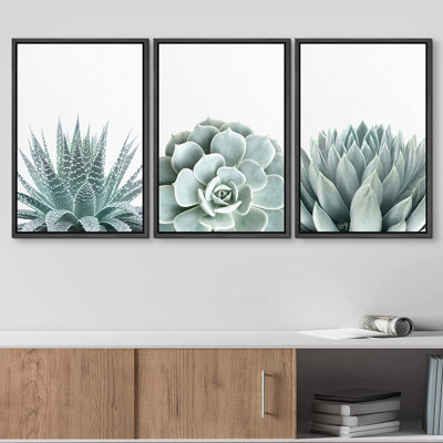 IDÉE4WALL, ensemble de reproduction d'art mural, plante grasse verte, variété de cactus, nature sauvage, illustrations, art moderne, rustique, gros plan, coloré pour le salon, la chambre à coucher, le bureau