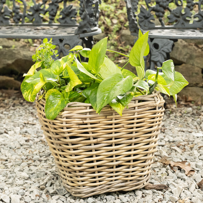 Square Tapered Planter With Plastic Insert