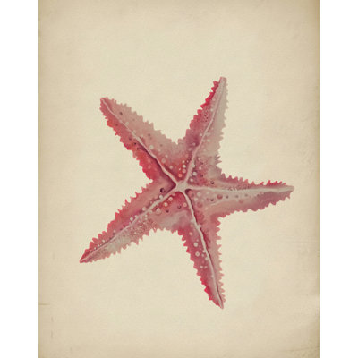 Étoile de mer rose rétro par Josie George - Art mural animal