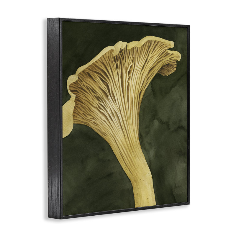 «Chantarelle Mushroom Sprout», estampe numérique, design de Grace Popp, H 20 po x l 16 po, Giclée encadrée noir minuit