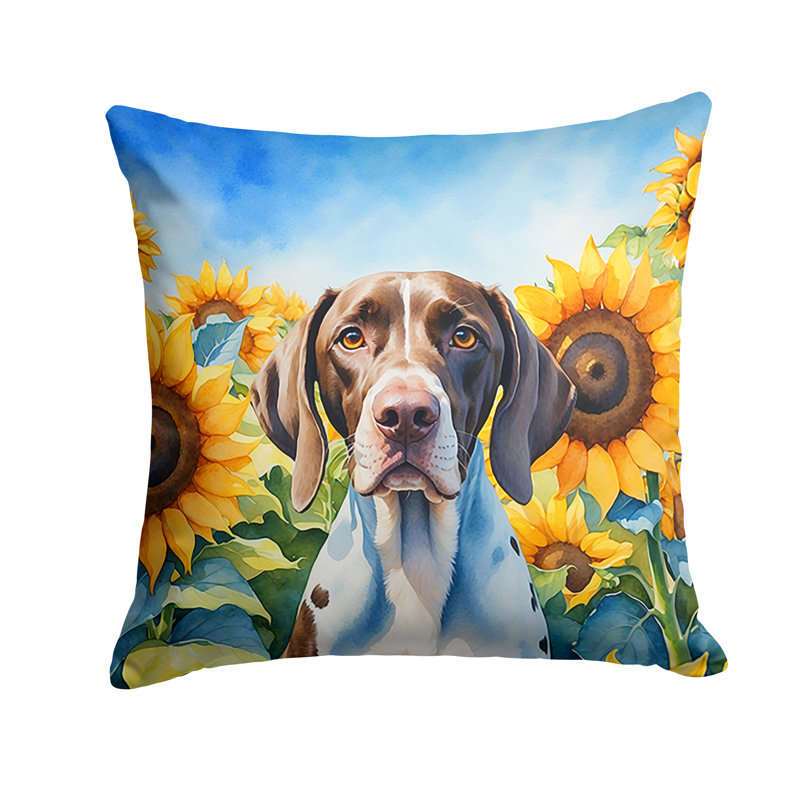 Other/No Pattern Indoor/Outdoor Throw Pillow, 18" H x 18" W