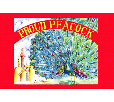 « proud peacock »-impression de publicités non encadrées
