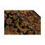 Oriental Area Rug in Black/Brown