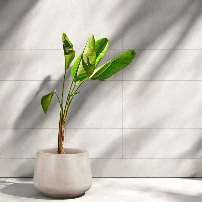 Durable White Concrete Planters, Modern Style For Indoor And Outdoor